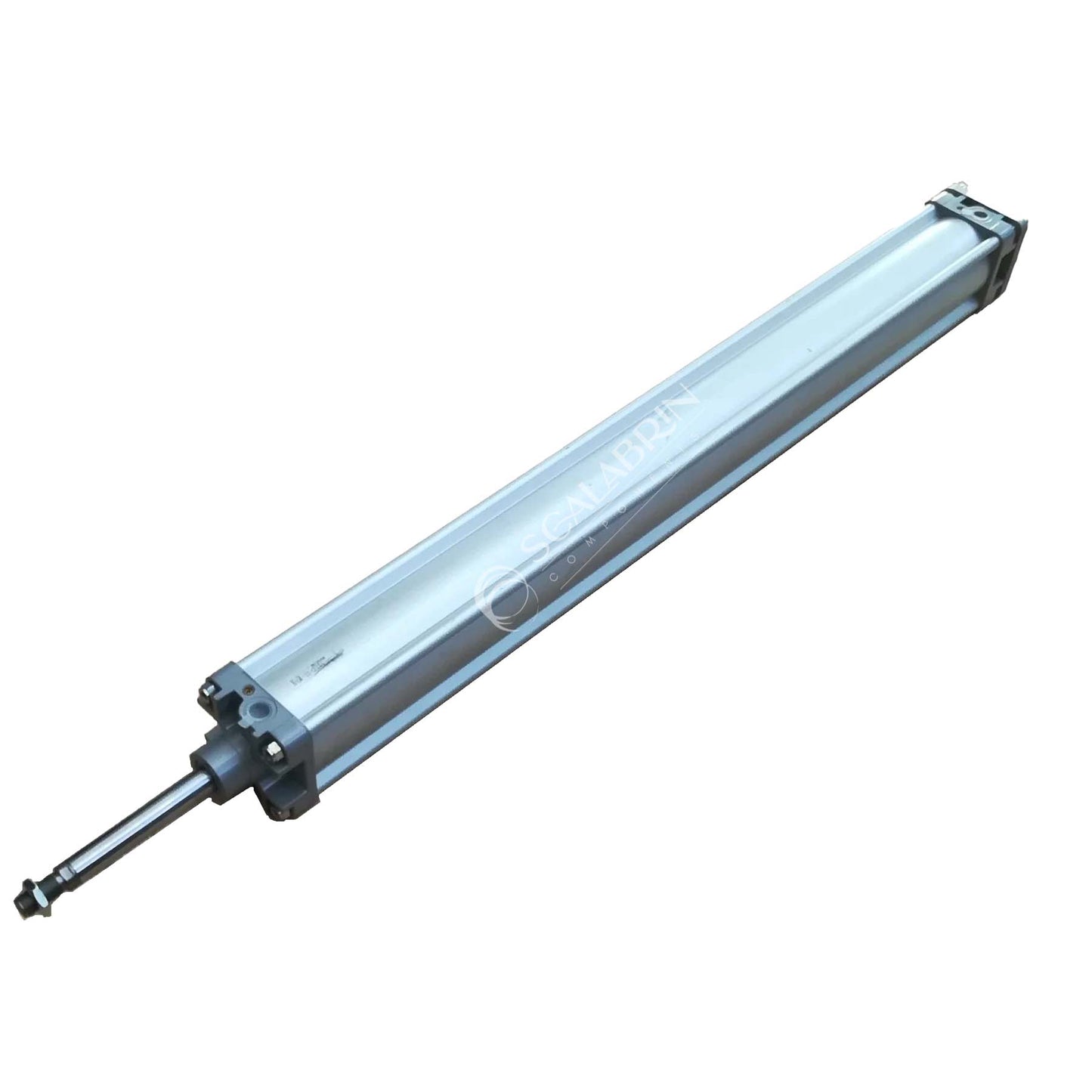 SCCE-901325
