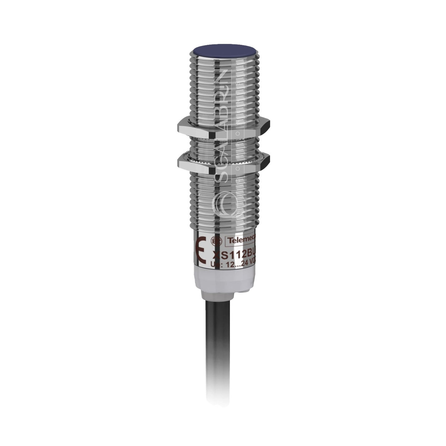 SCCE-703604