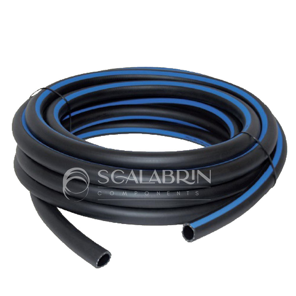 SCCE-650338