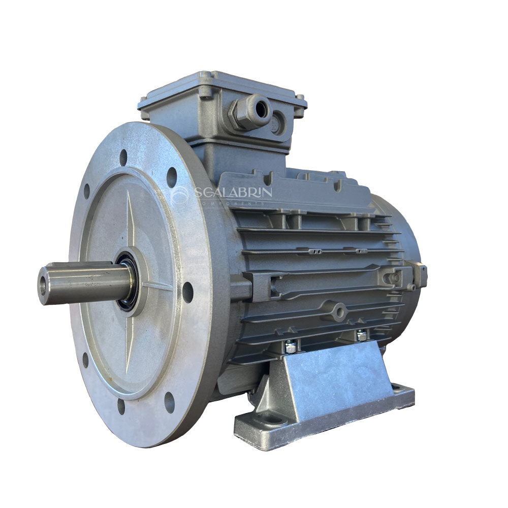 SCCE-556041