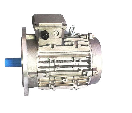 SCCE-556378