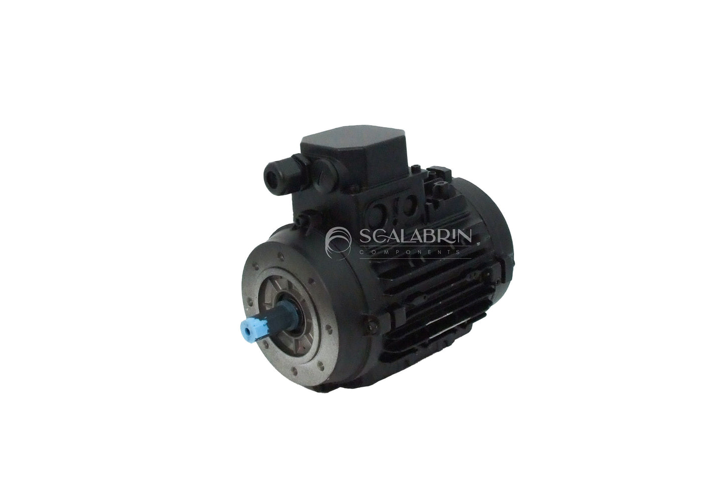 SCCE-558405