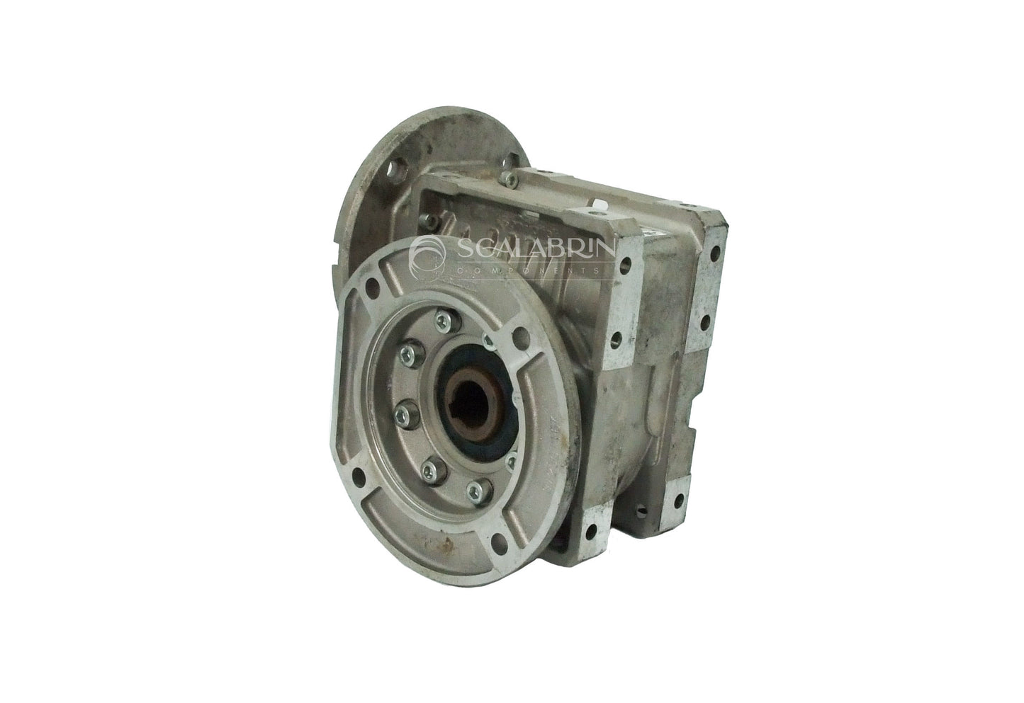 SCCE-559599