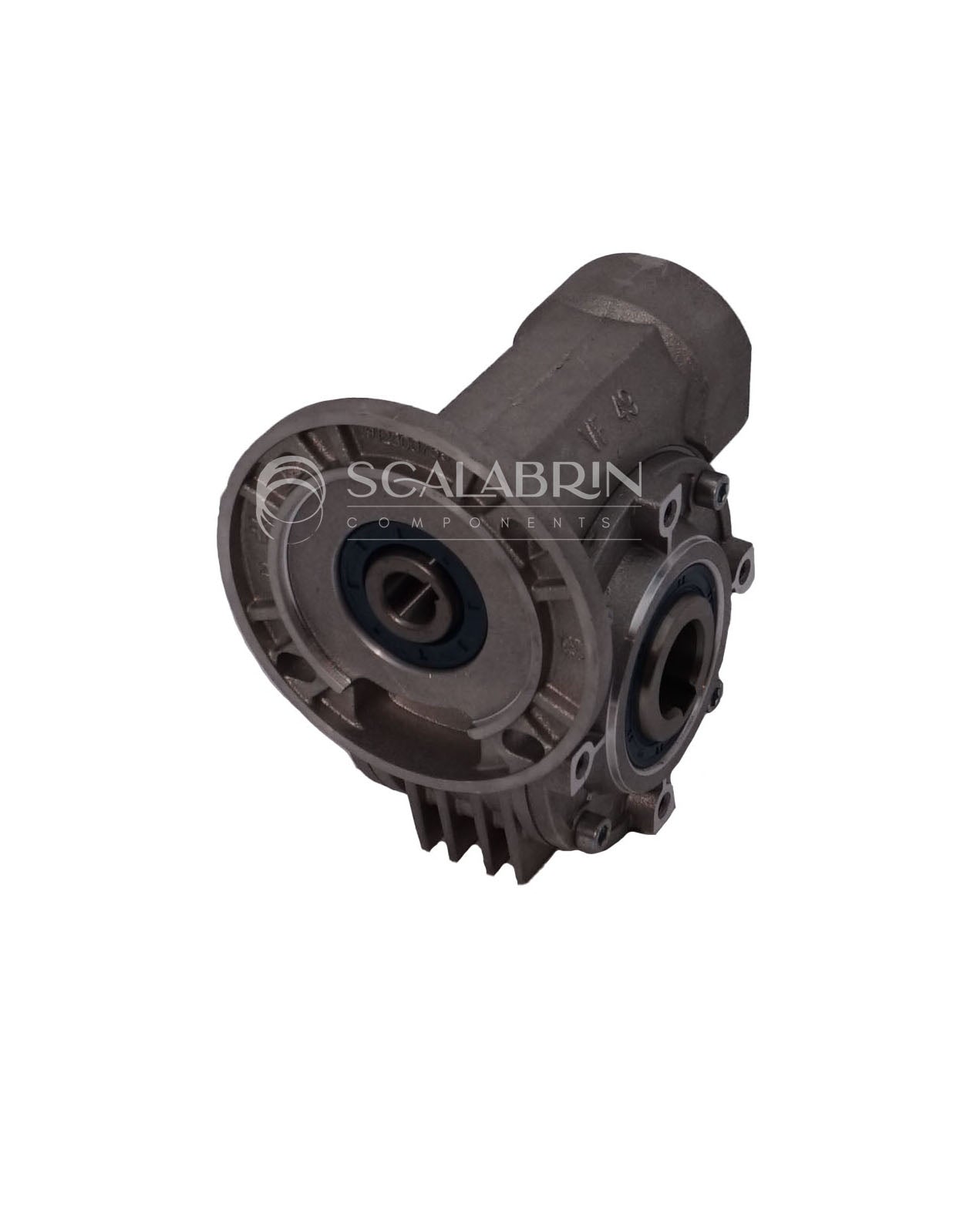 SCCE-559661