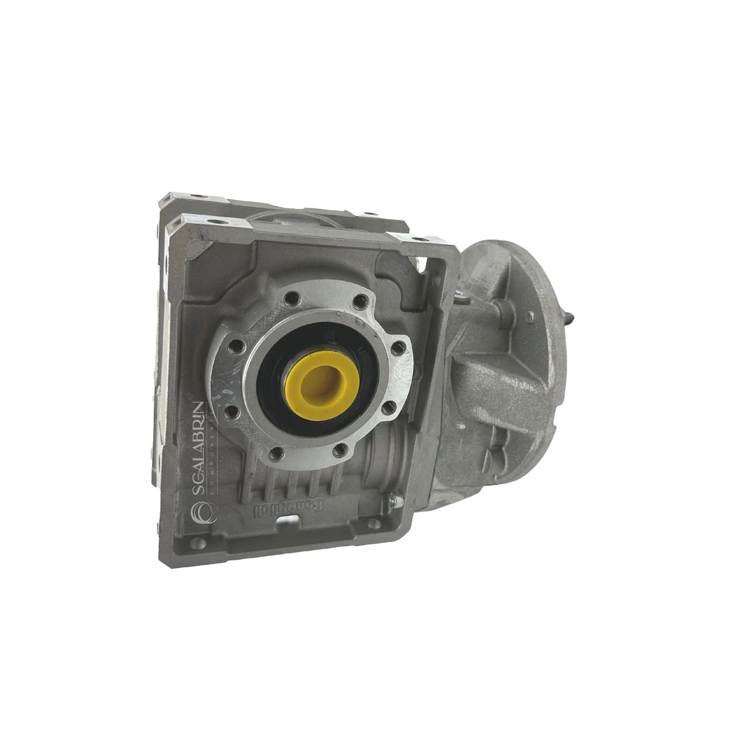 SCCE-559685