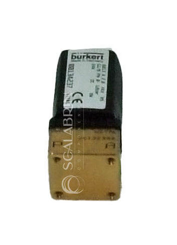 SCCE-599693