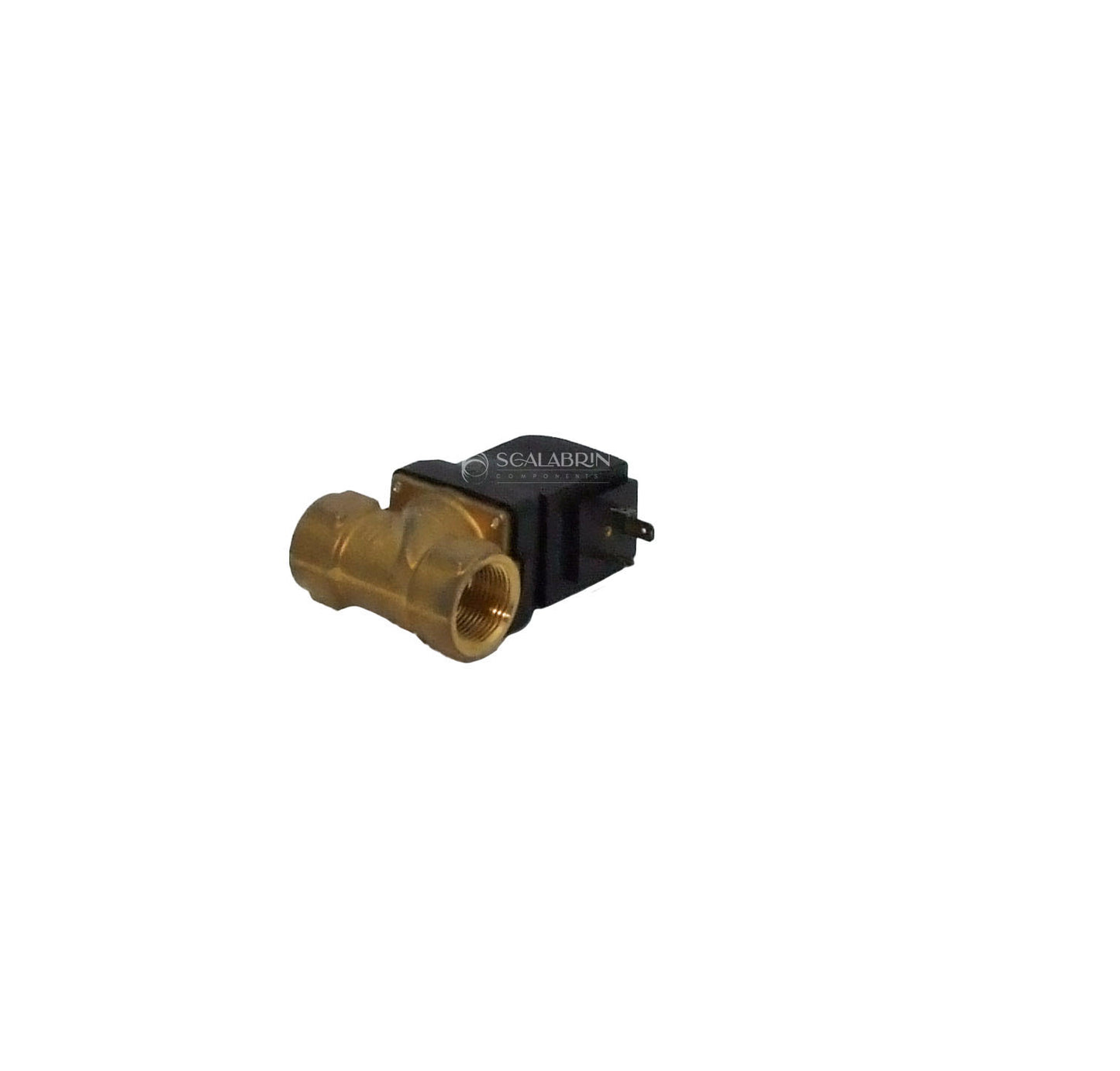 SCCE-599698