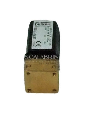 SCCE-599700
