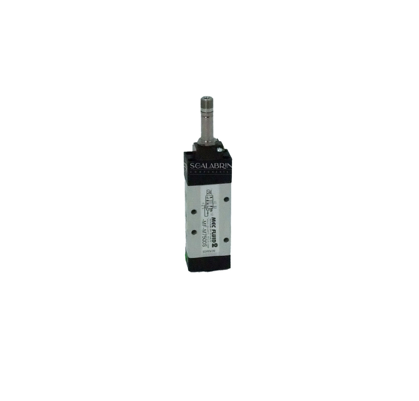 SCCE-599732