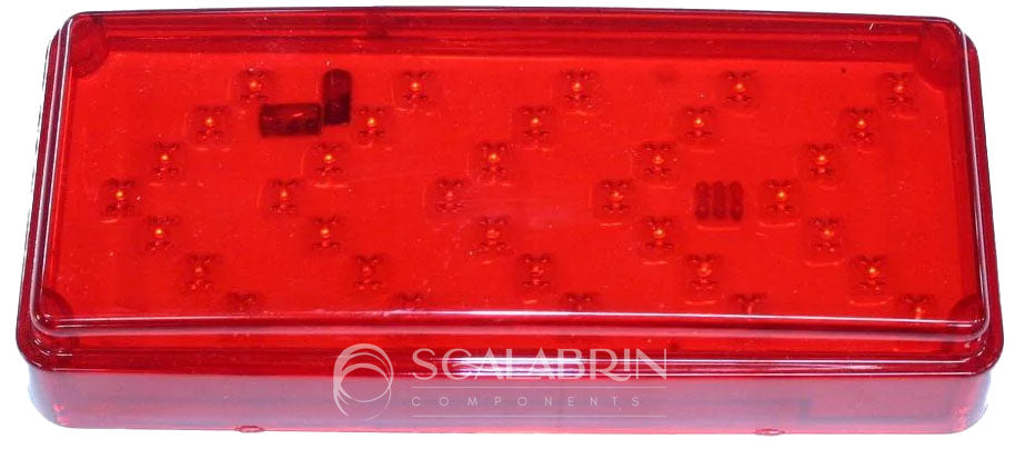 SCCE-709736
