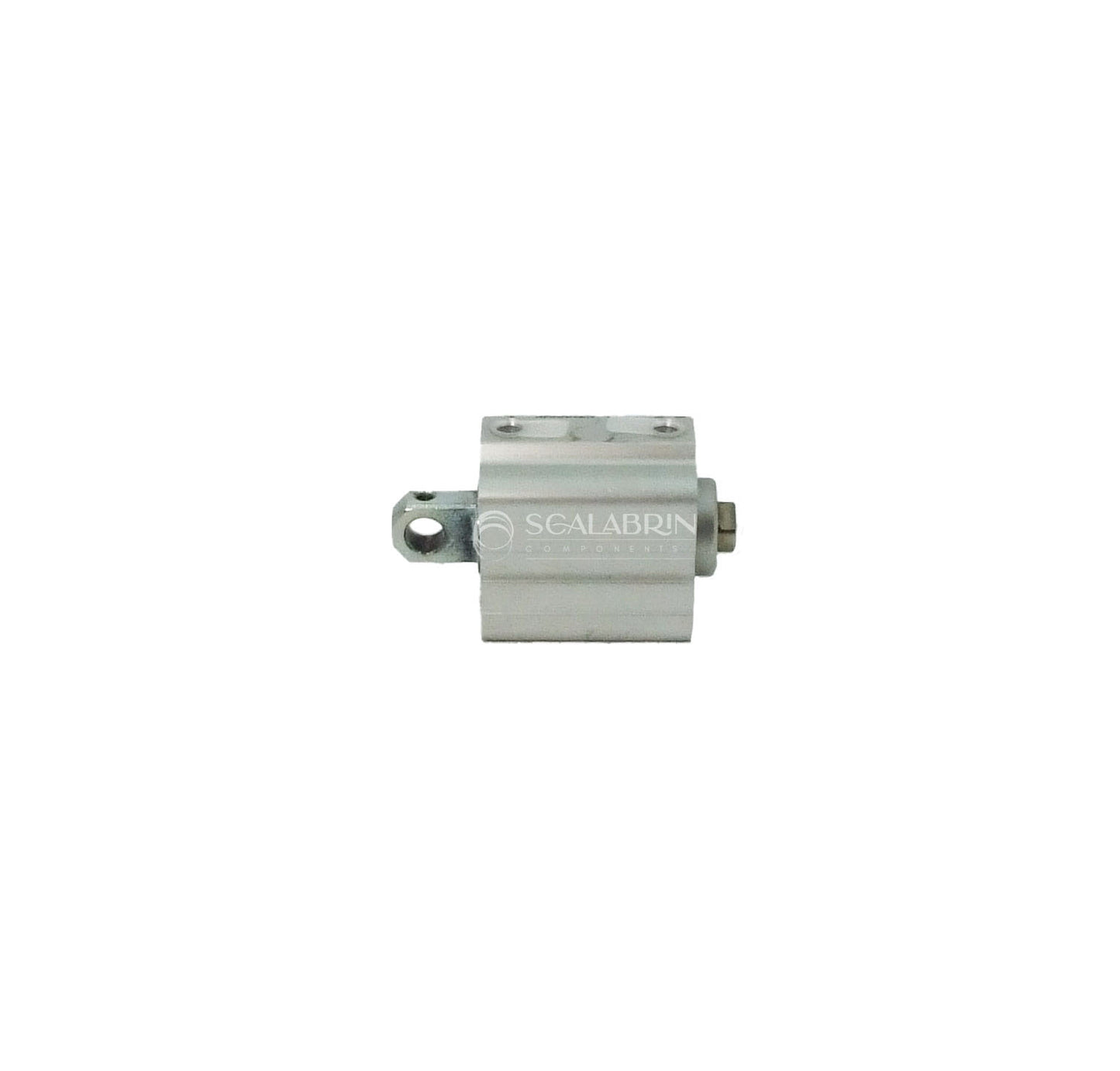 SCCE-D11549