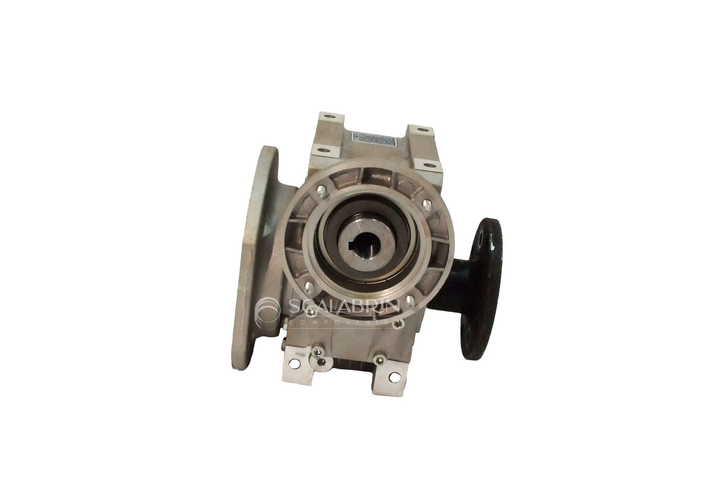 SCCE-D14208
