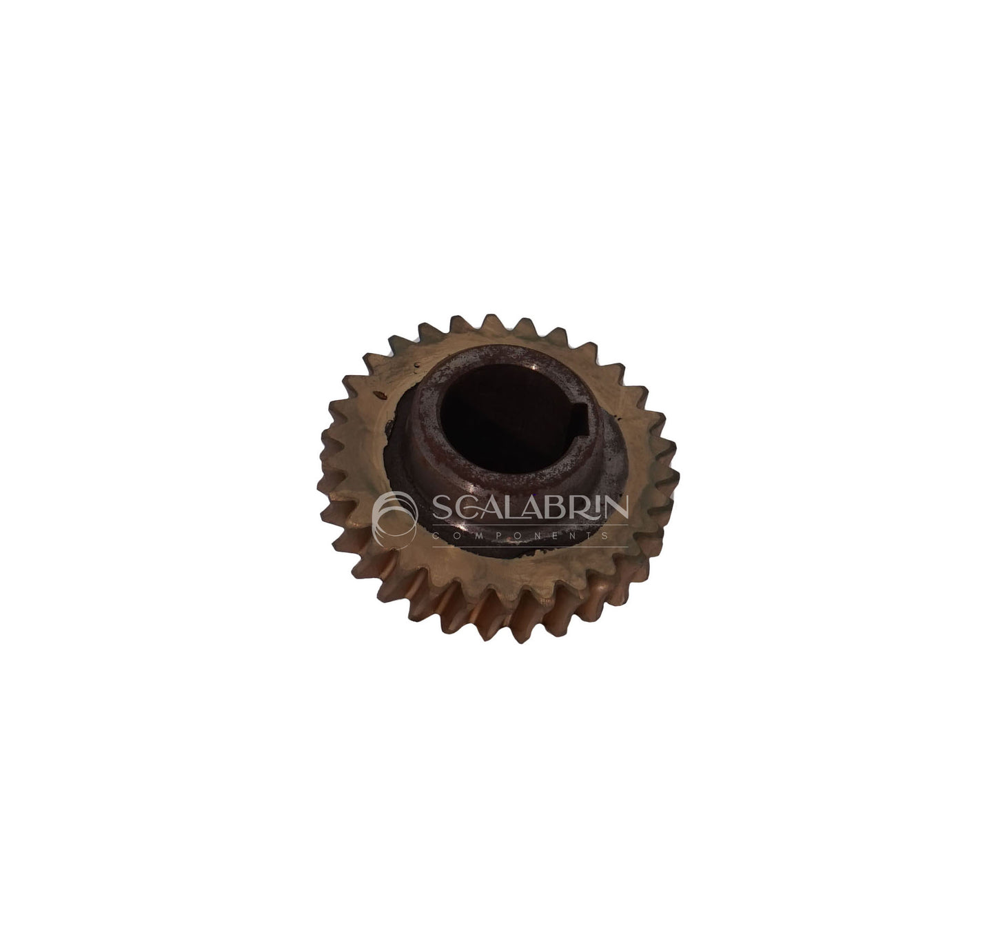 SCRY-RI11029COR