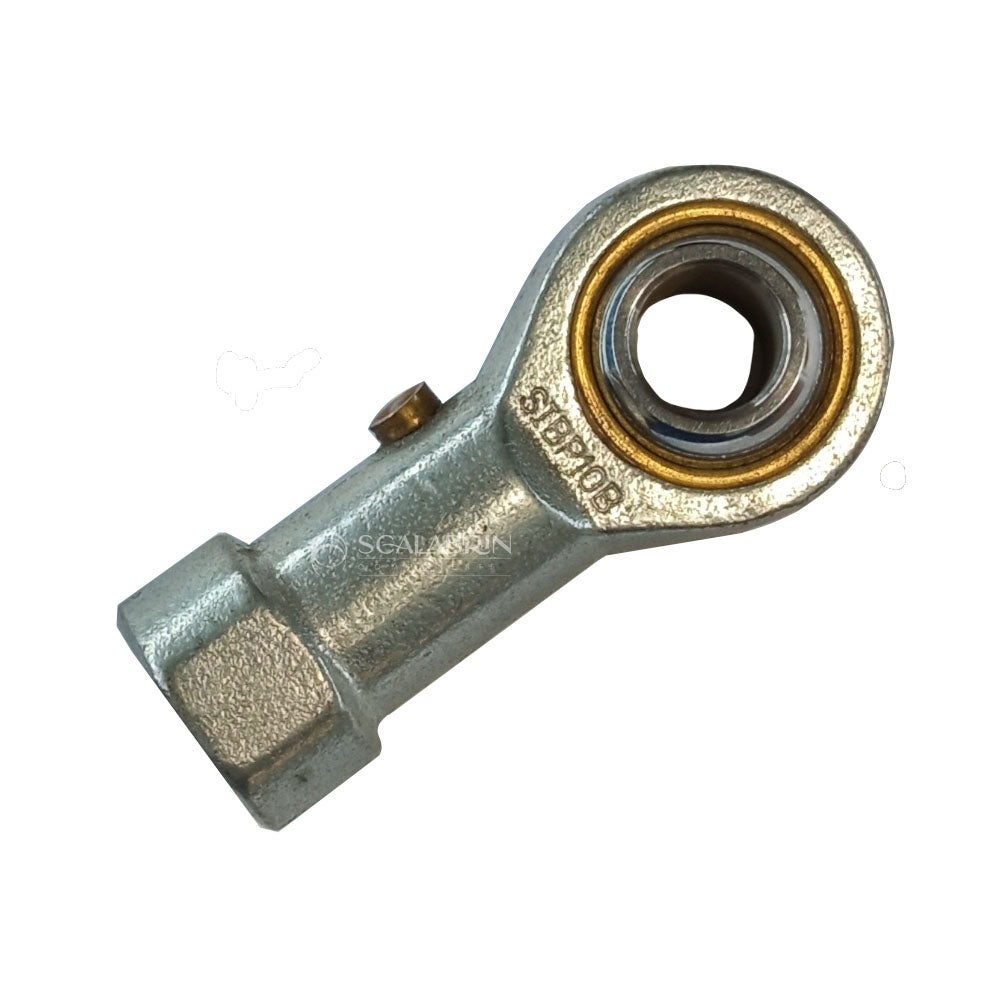 SCCE-579925
