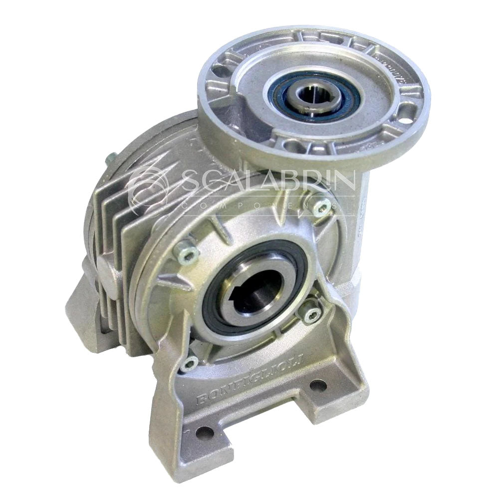 SCCE-559616