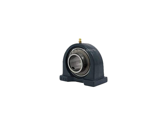 SCCE-D19619