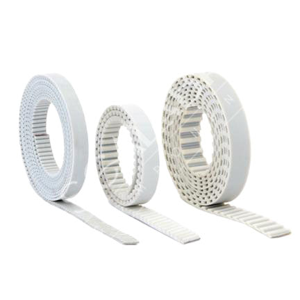 SCCE-850200