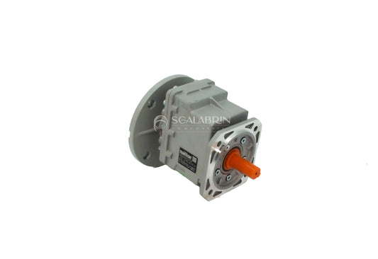 SCCE-559559