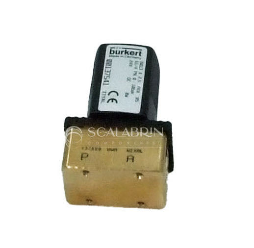 SCCE-599699