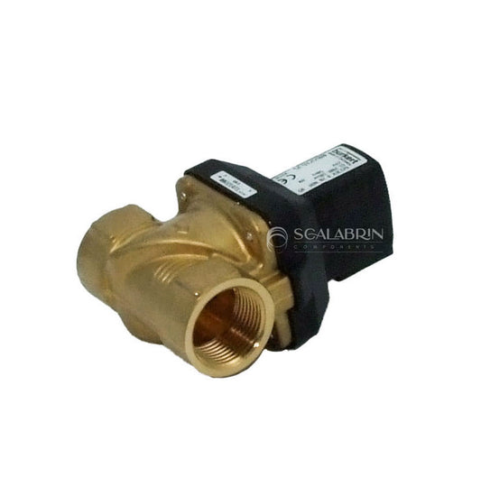 SCCE-599913