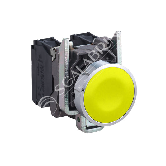 SCCE-702203
