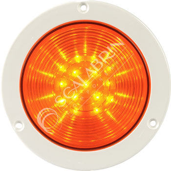 SCCE-709739